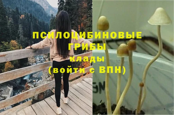 спайс Абдулино