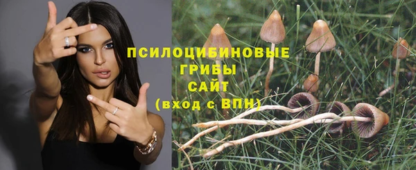 спайс Абдулино