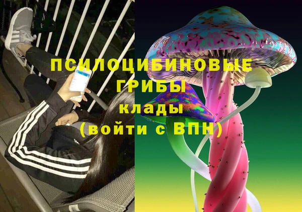 первитин Алексин