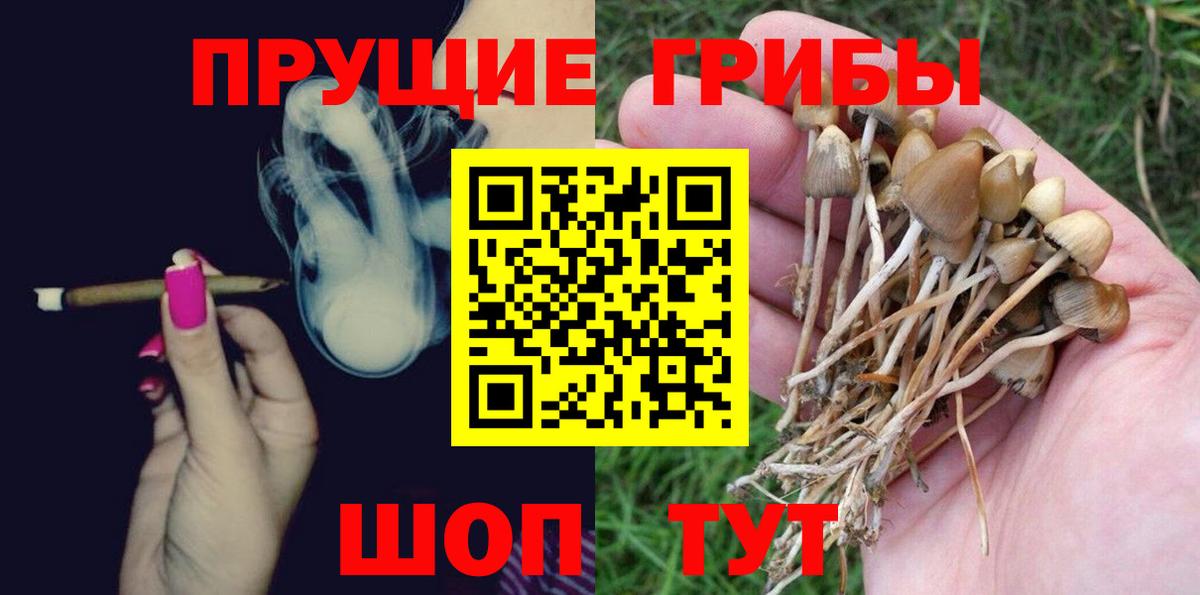 Псилоцибиновые грибы MAGIC MUSHROOMS  Вход с VPN  Избербаш  Псилоцибиновые грибы Psilocybe 