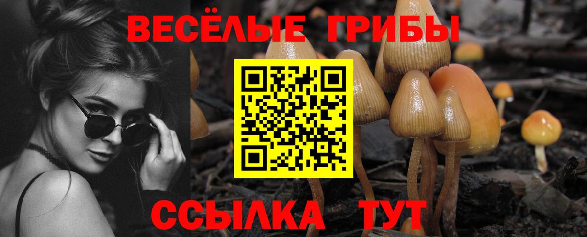 COCAIN  Вход с VPN  Каннабис  Мефедрон   COCAIN  ГАШИШ  Избербаш  ГАШ 