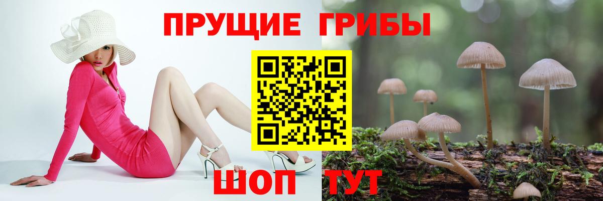 Галлюциногенные грибы прущие грибы Избербаш